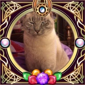 Meet your Posher, Wanda